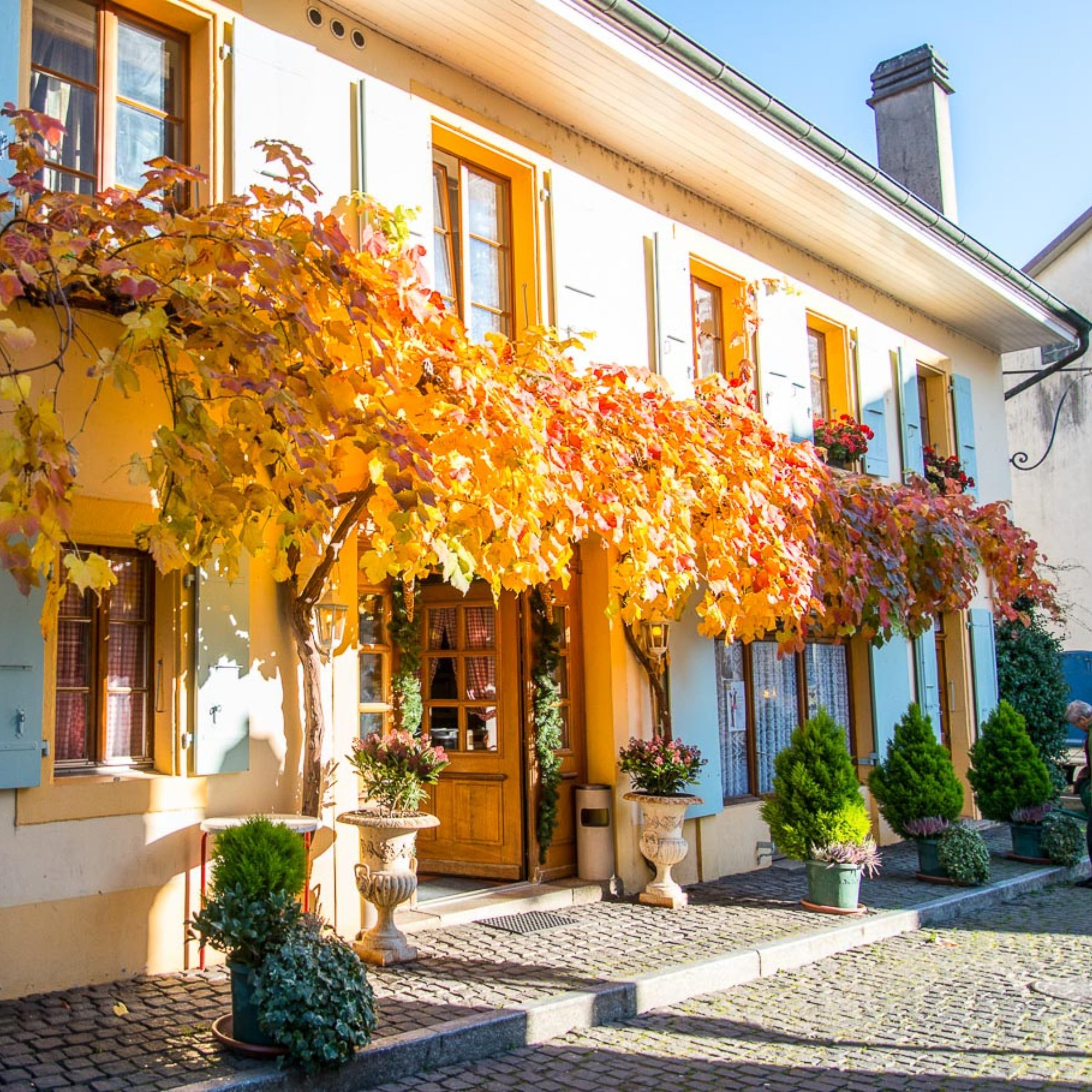 Restaurant La Passade