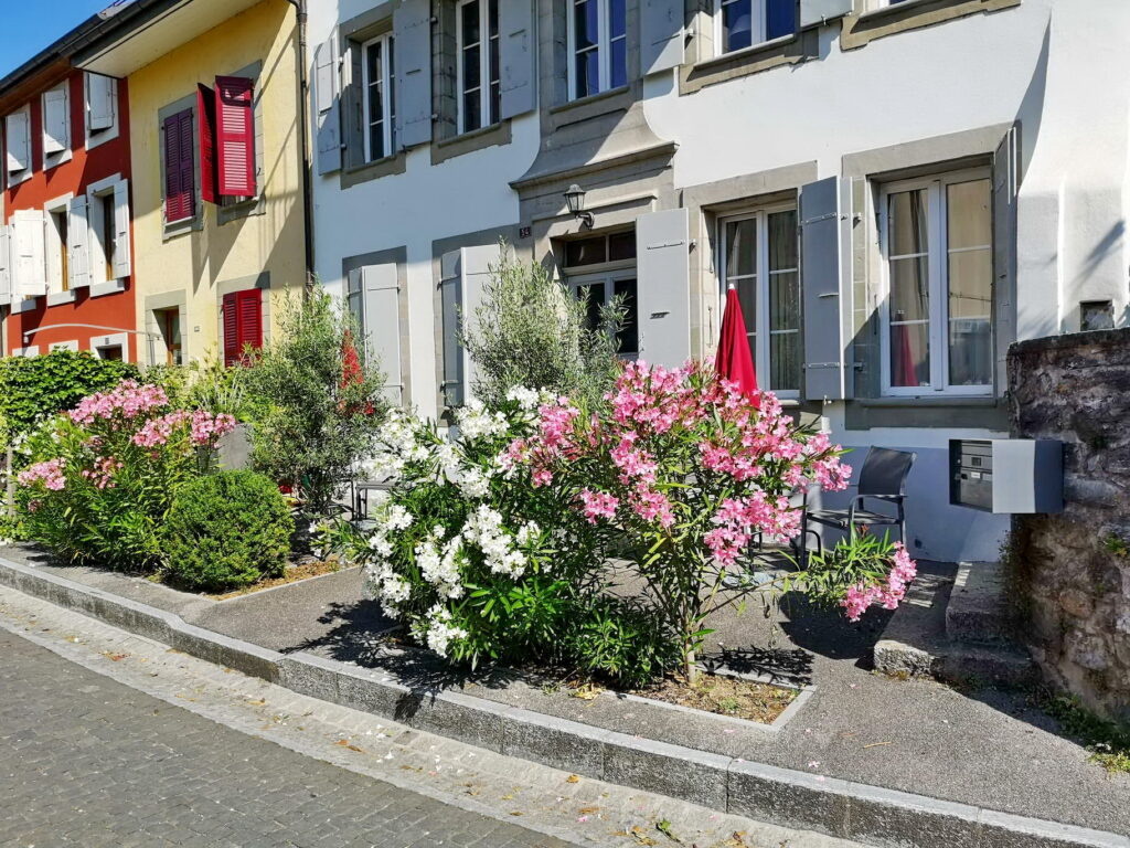 Entrée Grand-Rue 54, Perroy